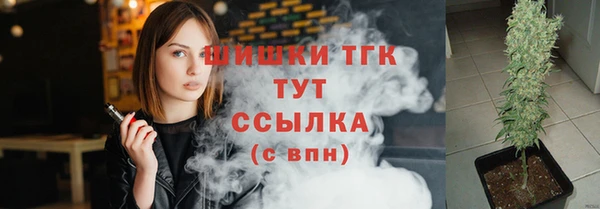 стаф Осинники