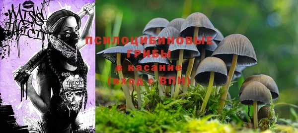 прущие крисы Алексин