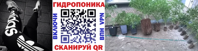 Каннабис MAZAR  даркнет сайт  Обнинск 